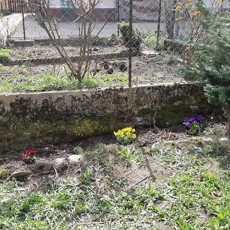 Casa Mascia Cencenighe Agordino